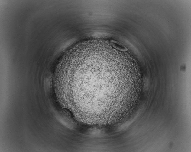 X0000101400356200807141202