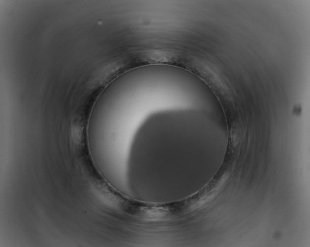 X0000101400359200807141202