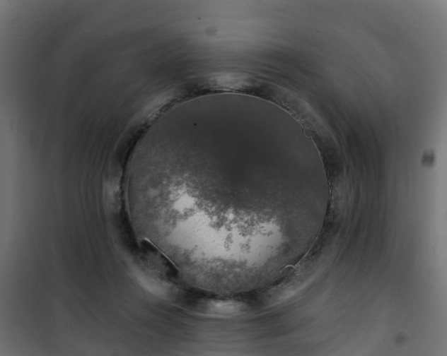 X0000101400360200807141202