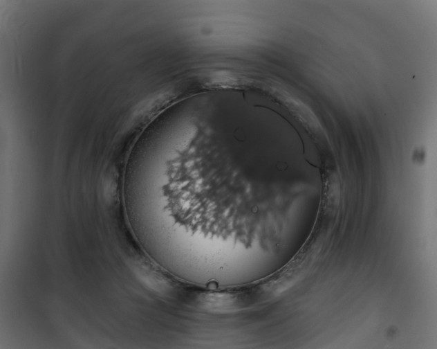 X0000101400361200807141202