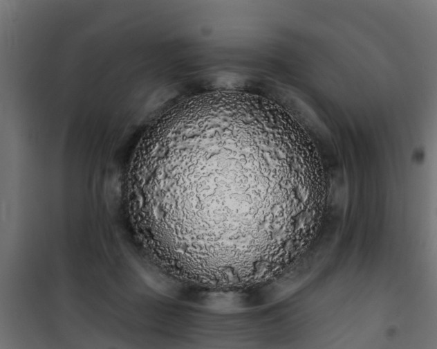 X0000101400363200807141202