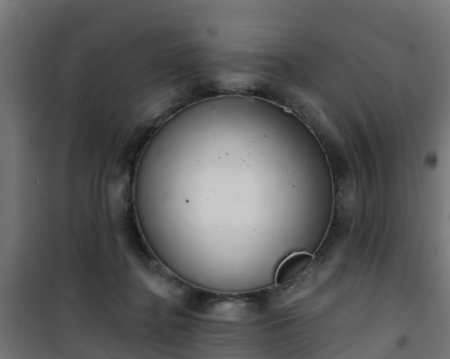 X0000101400364200807141202