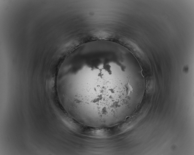 X0000101400365200807141202