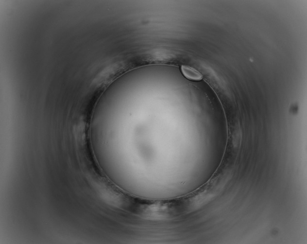 X0000101400366200807141202