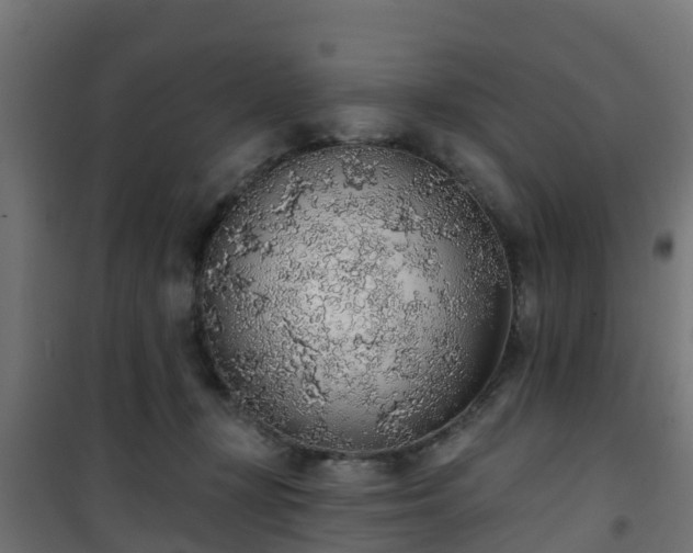 X0000101400367200807141202