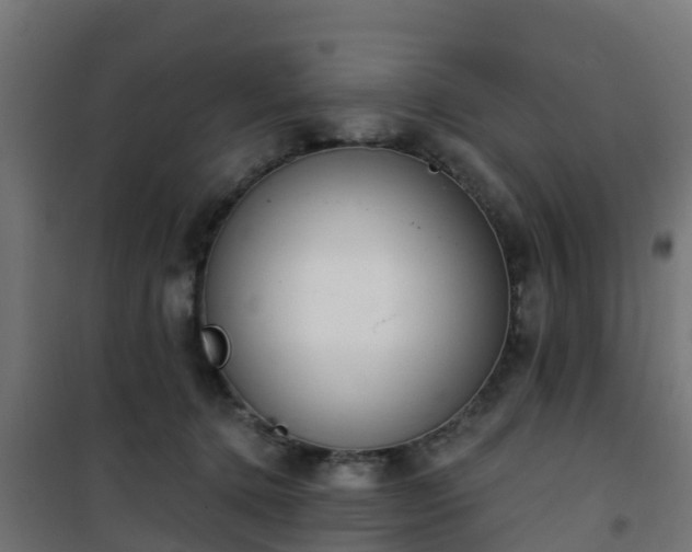 X0000101400368200807141202