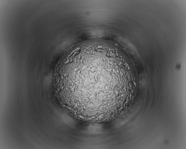 X0000101400369200807141202