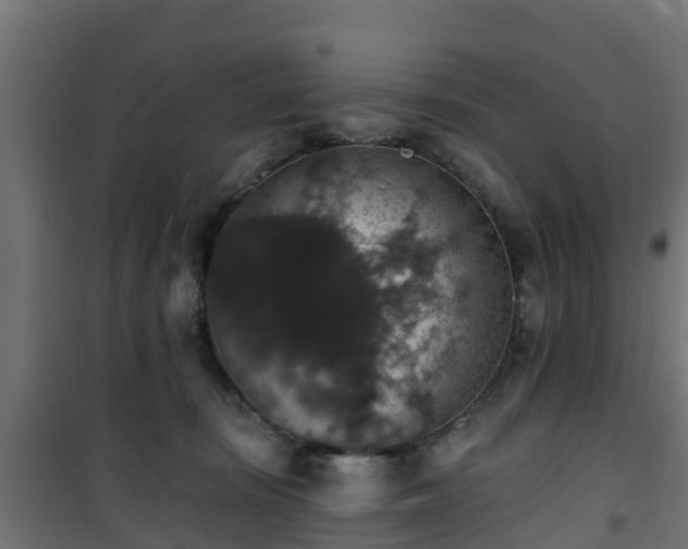 X0000101400371200807141202