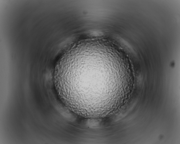 X0000101400373200807141202