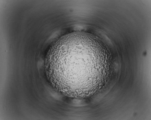 X0000101400375200807141202