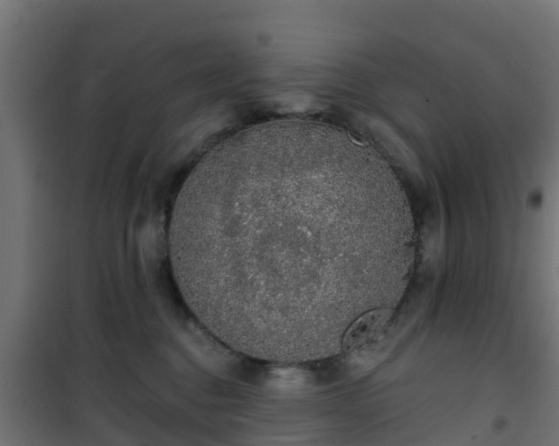 X0000101400376200807141202