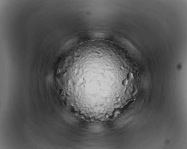 X0000101400377200807141202