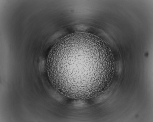 X0000101400378200807141202