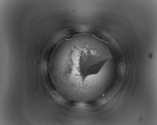 X0000101400380200807141202