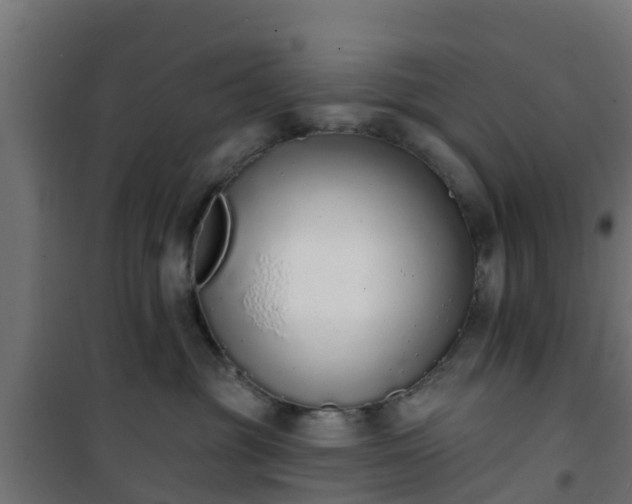 X0000101400381200807141202