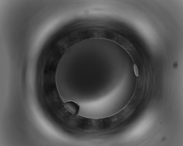 X0000101400383200807141202