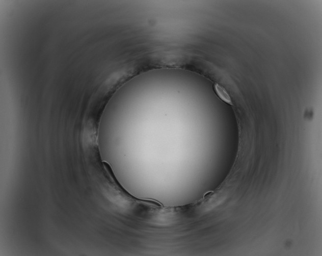 X0000101400384200807141202