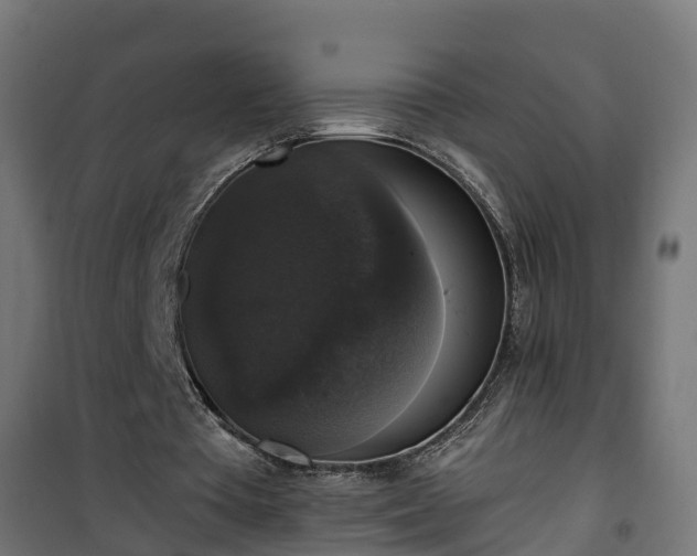 X0000101400385200807141202