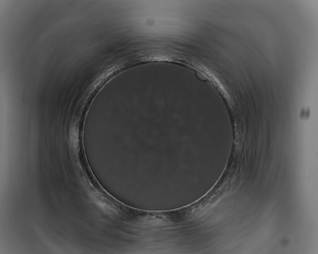 X0000101400386200807141202