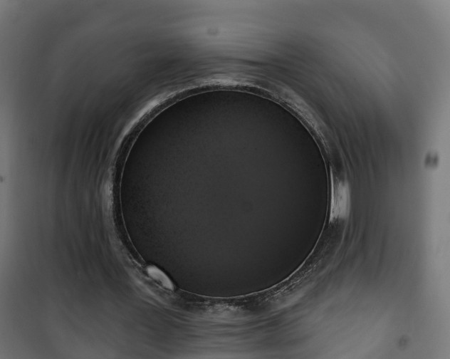 X0000101400387200807141202