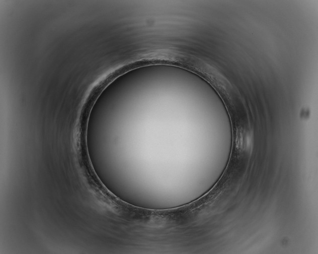 X0000101400388200807141202