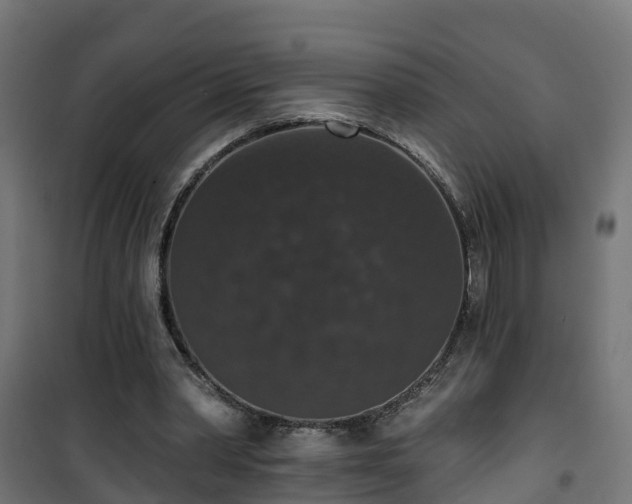 X0000101400390200807141202