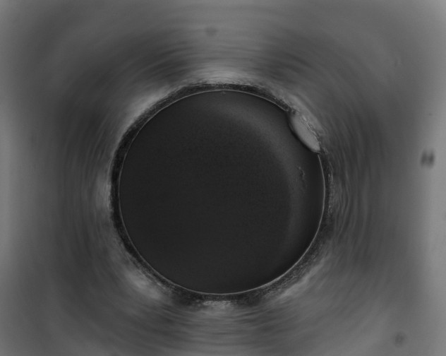 X0000101400391200807141202