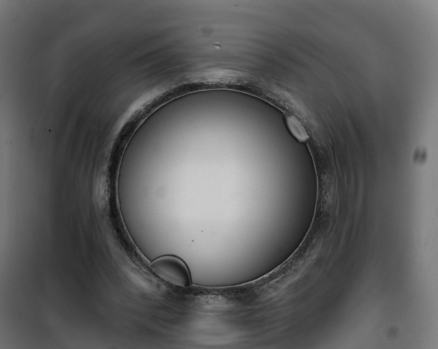 X0000101400392200807141201