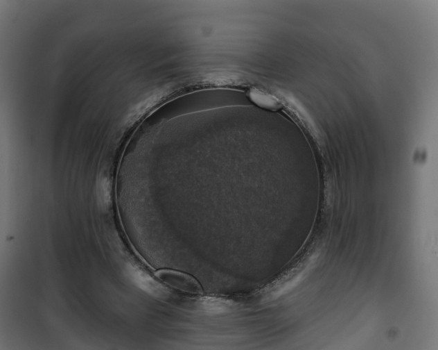 X0000101400393200807141201