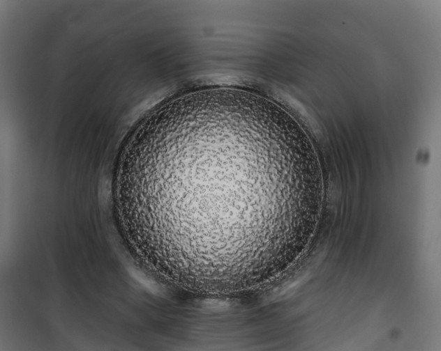 X0000101400394200807141201