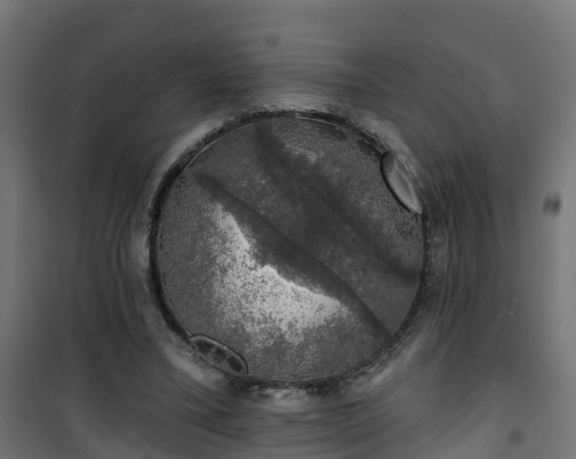 X0000101400395200807141201