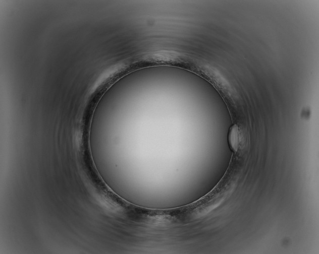 X0000101400396200807141201