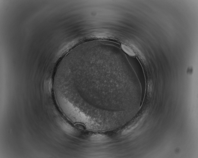 X0000101400397200807141201