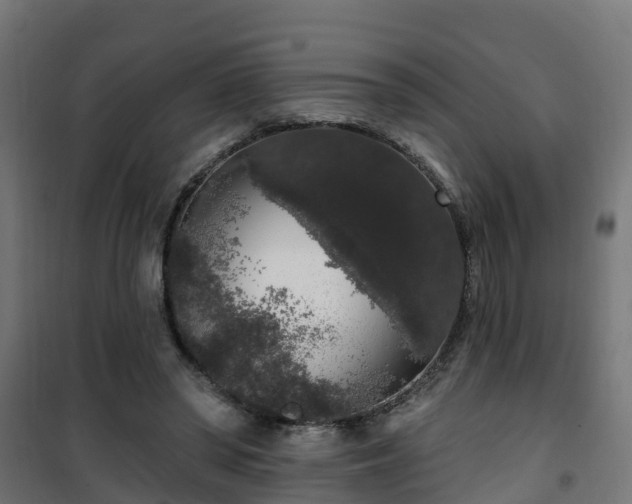 X0000101400398200807141201