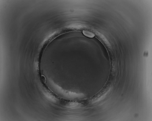 X0000101400399200807141201