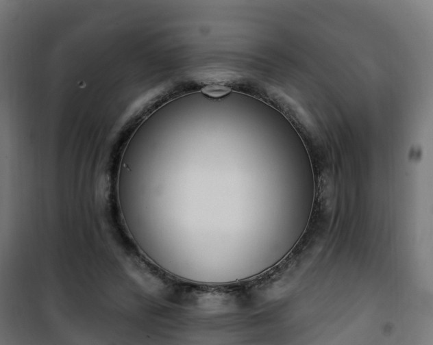 X0000101400400200807141201