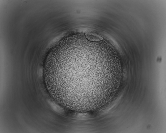 X0000101400401200807141201