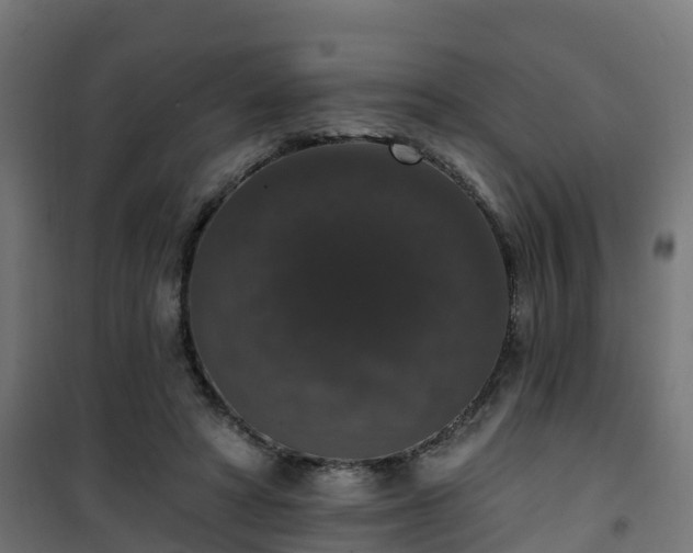 X0000101400402200807141201