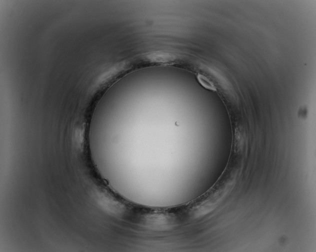 X0000101400404200807141201