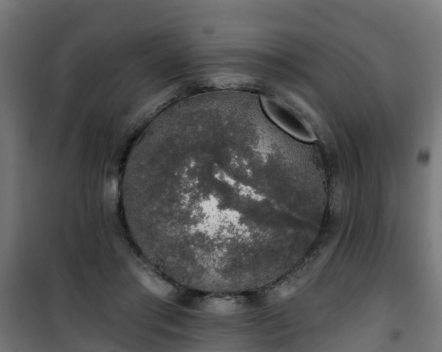 X0000101400405200807141201