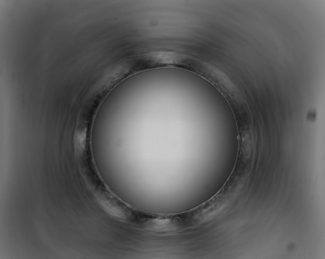 X0000101400406200807141201