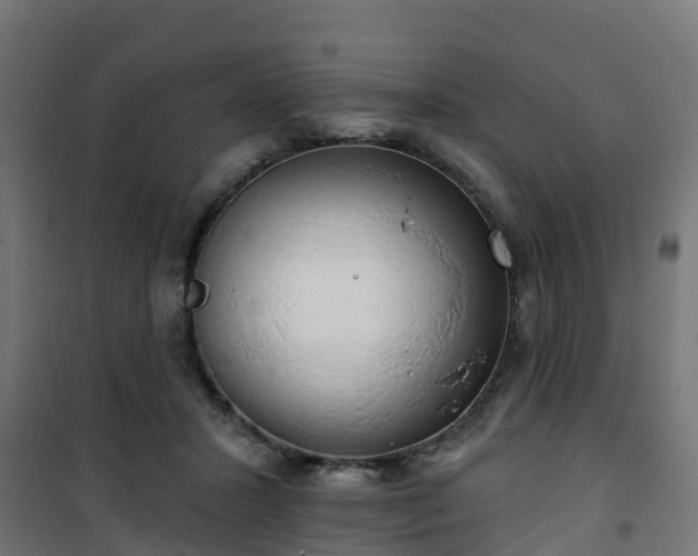 X0000101400407200807141201