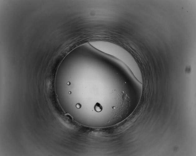 X0000101400408200807141201