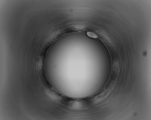 X0000101400412200807141201