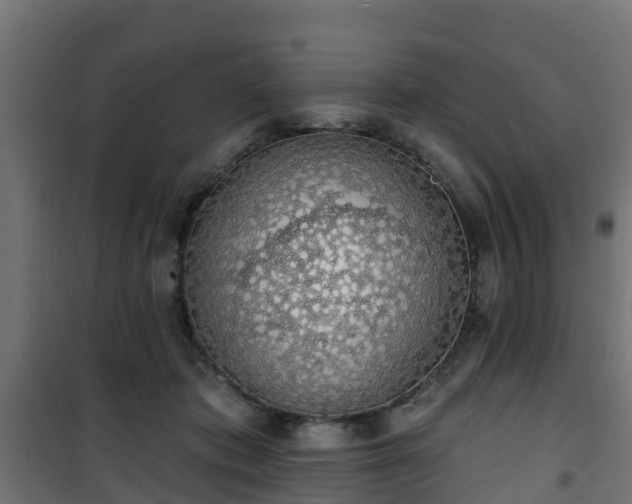 X0000101400413200807141201