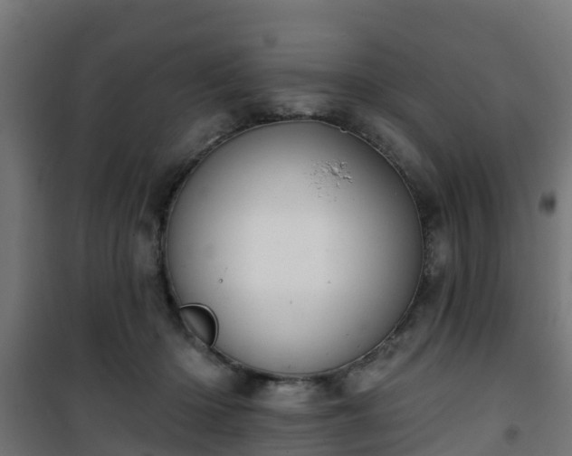 X0000101400414200807141201