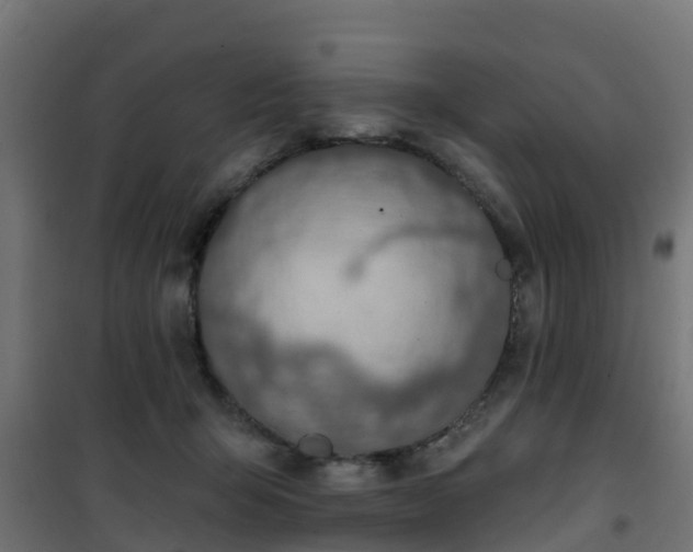 X0000101400415200807141201