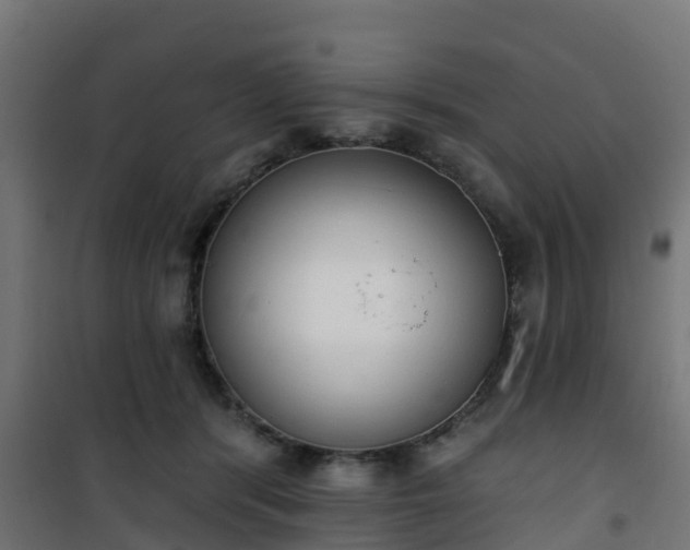 X0000101400416200807141201