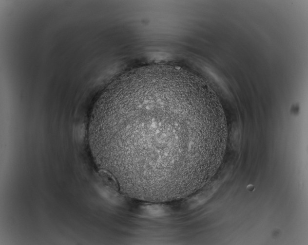 X0000101400417200807141201