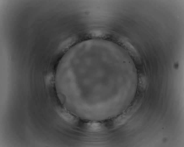 X0000101400419200807141201